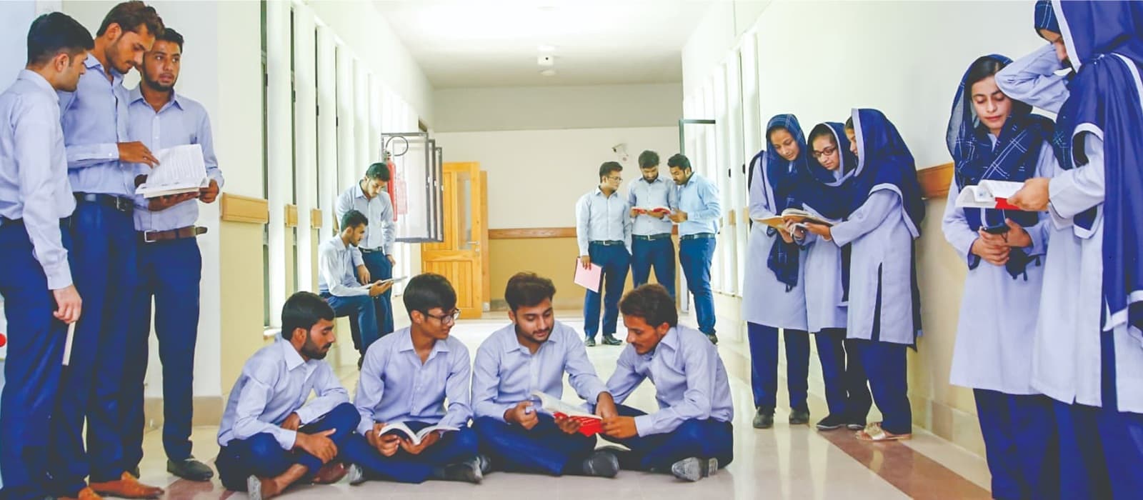 Students revising the course before exams.