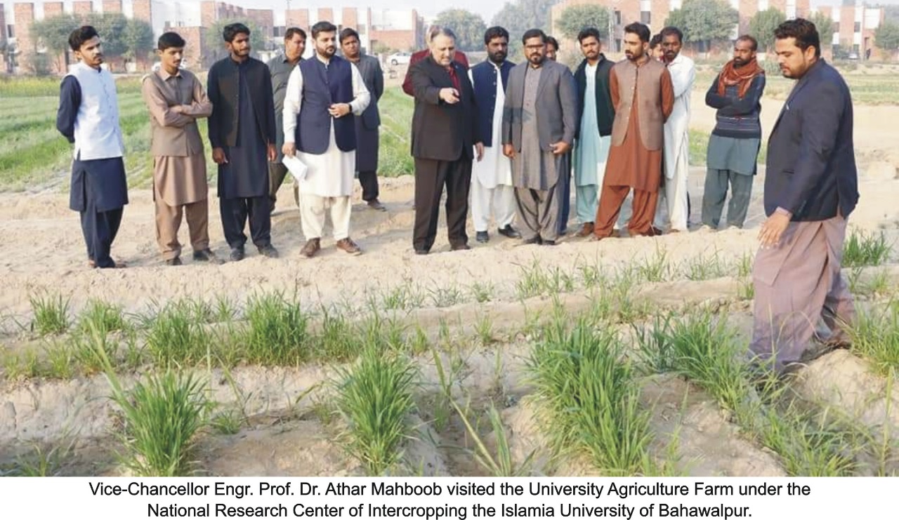 The method of intercropping of different crops by IUB is becoming popular all over the country