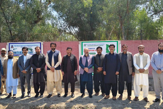 Wall decoration and tree plantation organized in connection with Pakistan Day at the IUB Bahawalnagar Campus